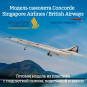Модель самолета Concorde Singapore/British Airlines 1:125 (с подсветкой салона) Модель самолета Concorde Singapore/British Airlines 1:125 (с подсветкой салона)