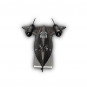 Модель самолета Lockheed SR-71A Blackbird USAF  1:144