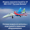 ВВС СССР "Русские Витязи"