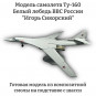 Модель самолета Туполев Ту-160 "Белый лебедь" бомбардировщик-ракетоносец ВКС России 1:100 (c шасси) Модель самолета Туполев Ту-160 "Белый лебедь" бомбардировщик-ракетоносец ВКС России 1:100 (c шасси)