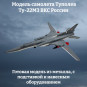 Модель самолета Ту-22М3 ракетоносец-бомбардировщик ВКС России 1:144 Модель самолета Ту-22М3 ракетоносец-бомбардировщик ВКС России 1:144