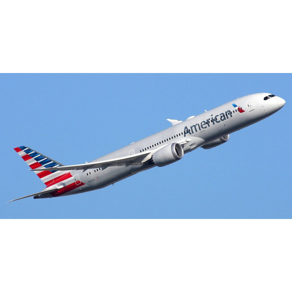 com :: Herpa Wings 1:200 - 570862 - American Airlines System Douglas DC-4